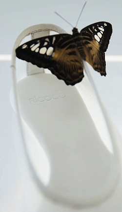 Балетки из сетки