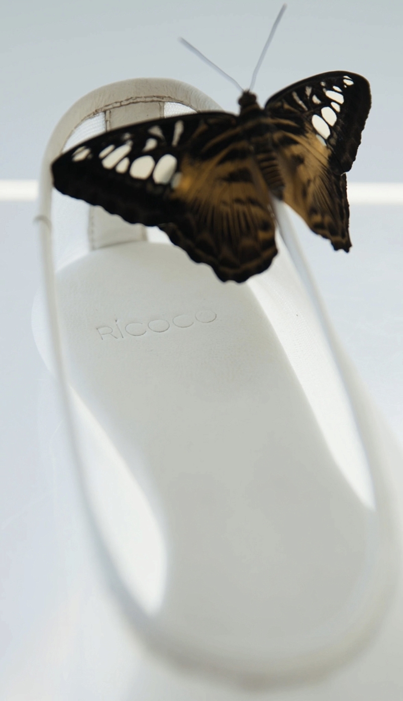 Балетки из сетки